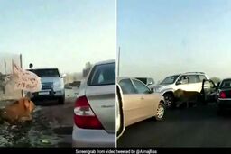 وحشت رانندگان از پرسه شیر سرگردان در جاده!+فیلم