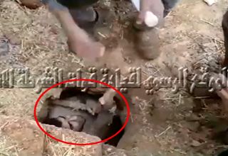 لحظه لو رفتن داعشی که مدت‌ها مخفیانه زیر خاک زندگی می‌کرد!