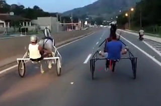 حادثه در مسابقه اسب سواری در خیابان!