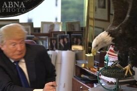 واکنش عجیب حیوانات با دیدن ترامپ