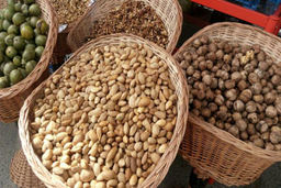 فیلمی از جشن پایان برداشت گردو در روستای آرتیمان 