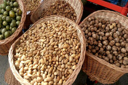 فیلمی از جشن پایان برداشت گردو در روستای آرتیمان 