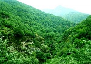 رویایی‌ترین صحنه از طبیعت