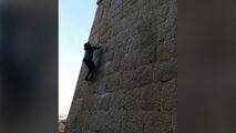 صعود با دست خالیِ مرد میمون نما به بالای قلعه! 