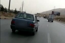حمل گوساله با پراید!