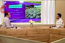 عذرخواهی مجری تلویزیون از خواندن اخبار امیدوارکننده قیمت سیب‌زمینی
