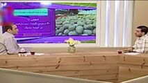 عذرخواهی مجری تلویزیون از خواندن اخبار امیدوارکننده قیمت سیب‌زمینی