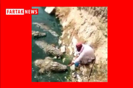 فیلم/ کار خطرناک مرد در غذا دادن به تمساح ها 