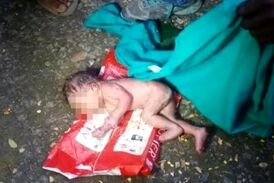 مورچه ها نوزاد دختر را زنده زنده خوردند!  (18+) + تصاویر
