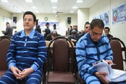 باز کردن ۲۴۲ حساب برای یک پسر ۸ ساله در یک روز