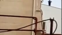 ویدئویی جدید از لحظه دستگیری شرور مسلح در گیلان 