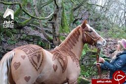 مهارت زن انگلیسی در آرایش حیوانات