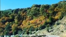 "لاویج"، روستایی زیبا در میان دره‌های جنگلی