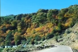 "لاویج"، روستایی زیبا در میان دره‌های جنگلی