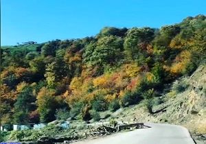 "لاویج"، روستایی زیبا در میان دره‌های جنگلی