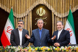 واکنش خبرنگار صداوسیما به خنده خبرنگاران در برابر تمجید ربیعی از این سازمان