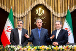 واکنش خبرنگار صداوسیما به خنده خبرنگاران در برابر تمجید ربیعی از این سازمان