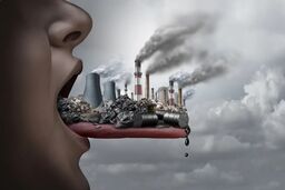 آلودگیِ هوا چه بلایی بر سر مغز می‌آورد؟