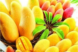 همه چیز درباره پادشاه میوه‌ها!
