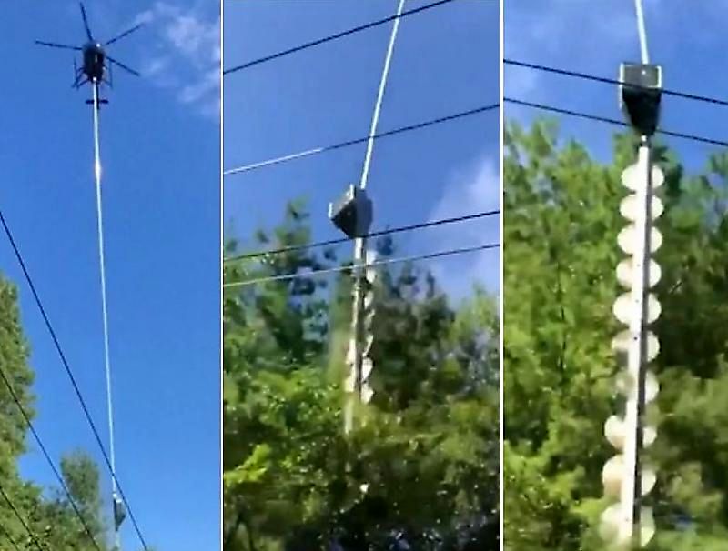 هرس درختان با روشی شگفت انگیز 