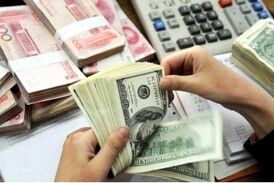  دستگیری ۵۵۵ نفر به علت سوء استفاده از ارز ۴۲۰۰ تومانی