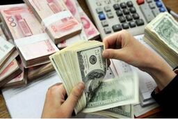 حجم وسیعی از منابع ارزی در اختیار رانت‌خواران قرار گرفته است 