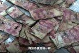 تصمیم اشتباهی که تمام پس انداز مرد چینی را بر باد داد! 