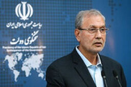  سخنگوی دولت: آن شخصی که در خارج به استراماچونی پول داده هم تحریم شده