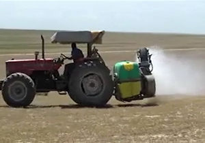 مبارزه با ملخ‌ها در مراتع آق قلا