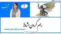 انگیزه های انسان برای موفقیت؛ رام کردن اژدها 