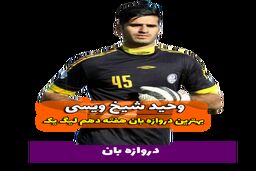 اختصاصی/ وحید شیخ ویسی؛ بهترین دروازه بان هفته دهم لیگ یک/فیلم
