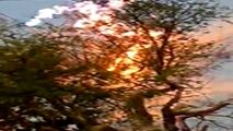 برق گرفتگی عجیب درخت