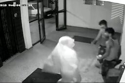 خوشحالی سارقان منزل مسکونی روبروی دوربین مداربسته!
