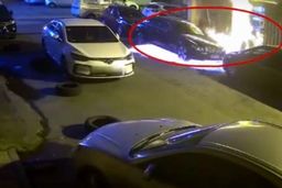 در نتیجه کشتن سوسک، ۳ خودرو به آتش کشیده شد 