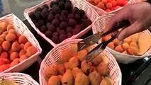 گزارش موبایلی معصومی‌نژاد از غذا‌های خیابانی رم