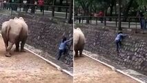 حادثه وحشتناکی که در باغ وحش ختم به خیر شد!