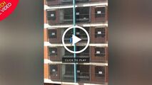 بازی با مرگ دختر جوان در صعود به ساختمان 8 طبقه!