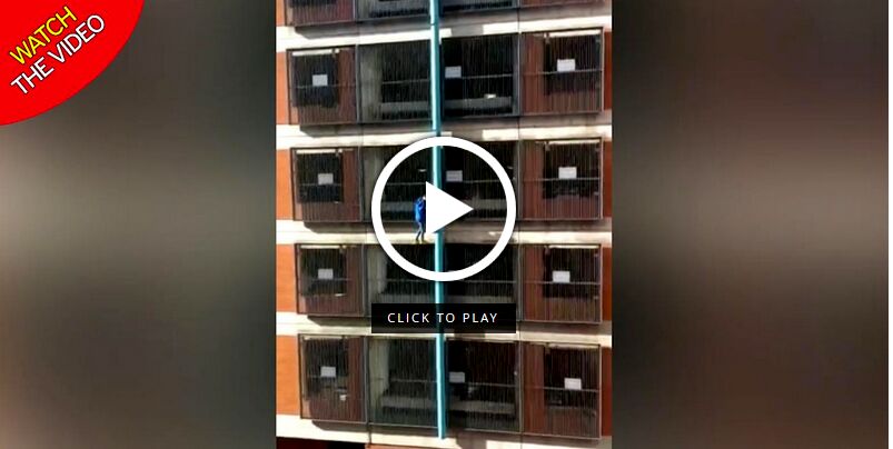 بازی با مرگ دختر جوان در صعود به ساختمان 8 طبقه!