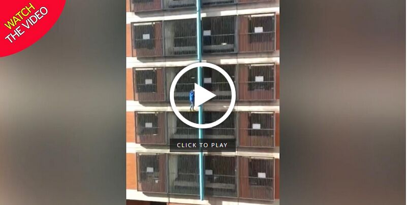 بازی با مرگ دختر جوان در صعود به ساختمان 8 طبقه!