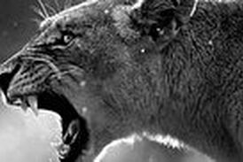حمله وحشتناک شیر خشمگین به یک مرد در خانه!
