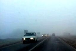 فیلمی از مه گرفتگی شدید در کرمانشاه