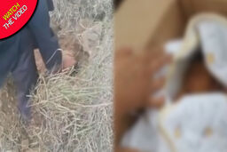نجات باورنکردنی نوزاد زنده به گور شده در آخرین لحظات