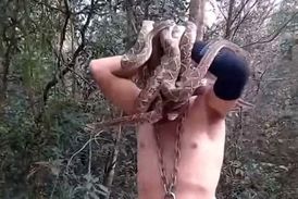 نینجا مار  با شش مار سمی در دهان+ فیلم 