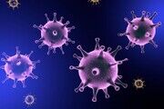 همه اطلاعاتی که احتمال جنگ بیولوژیکی کرونا را تقویت می کند