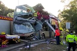 برخورد مرگبار اتوبوس دو طبقه با درخت با ۴۵ کشته و زخمی+ فیلم