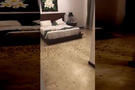 اتفاق عجیبی که گردشگران روسی در هتل با آن مواجه شدند+فیلم