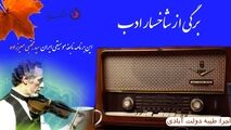 نگاهی به زندگی هنری سید مجتبی میرزاده نابغه موسیقی ایران