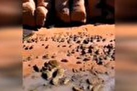 ساحلی بسیار زیبا و دیدنی در بندر لنگه 