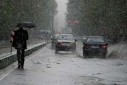 بارندگی در گرمای خرماپزان بم
