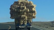 بار کامیون بر روی نیسان!